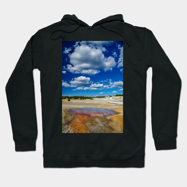 Norris Geyser Basin Spectacular Hoodie by BrianPShaw